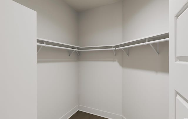 spacious closet with dark wood-type flooring