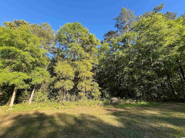 Listing photo 3 for 135 Ben Horry Trl, Pawleys Island SC 29585