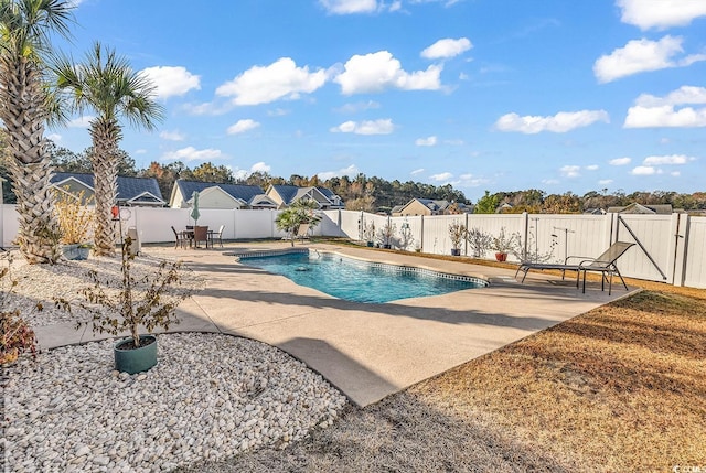 view of pool featuring a patio area