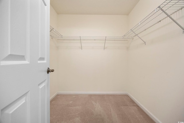 spacious closet with light carpet