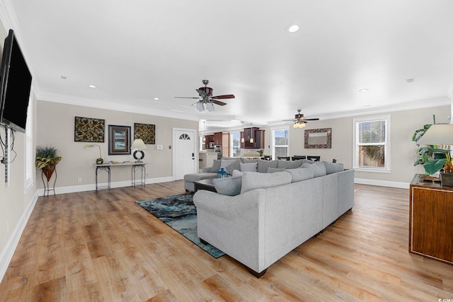 living room with ceiling fan, light hardwood / wood-style flooring, and ornamental molding