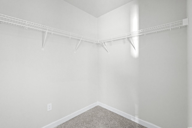 spacious closet featuring carpet flooring