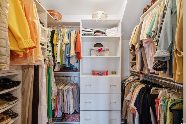 view of spacious closet