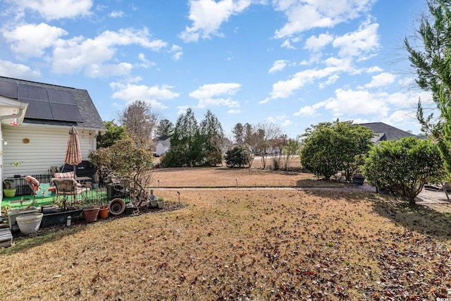 view of yard featuring a patio