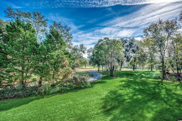 5801 Oyster Catcher Dr Unit 1022, North Myrtle Beach, SC 29582 - view of green lawn