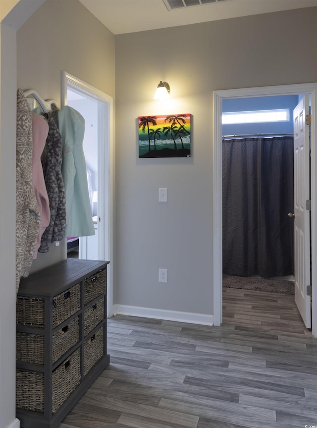 foyer featuring wood-type flooring