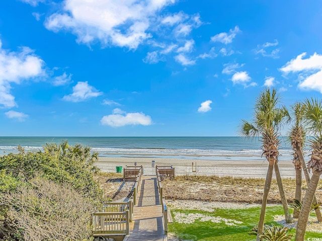 water view featuring a beach view