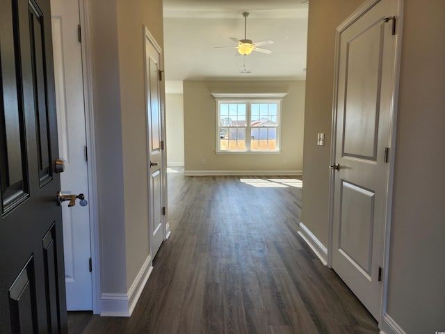 hall with dark hardwood / wood-style flooring