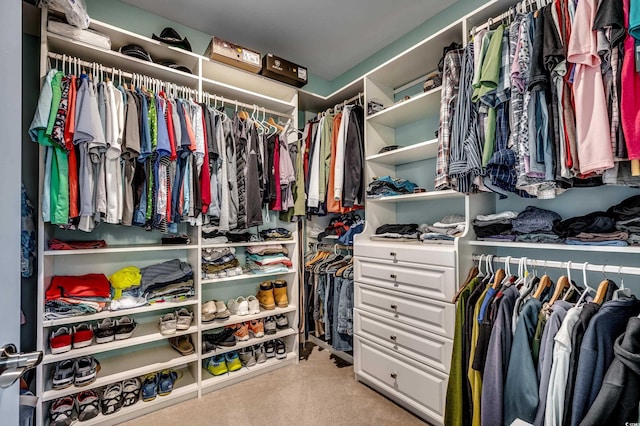 walk in closet with light carpet