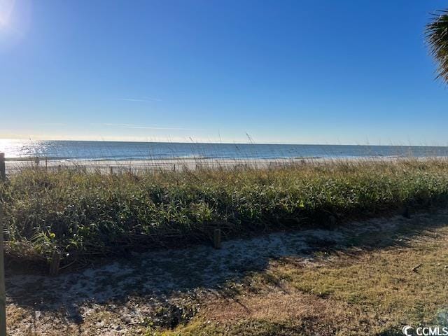 water view with a view of the beach