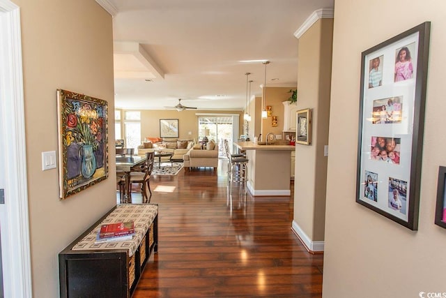 hall featuring dark hardwood / wood-style flooring and crown molding