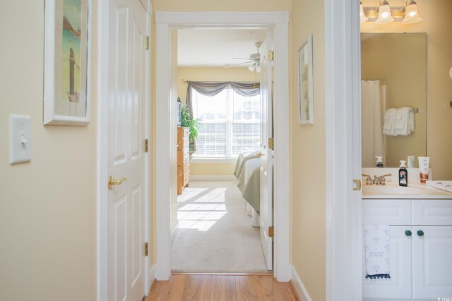 hallway featuring light hardwood / wood-style flooring and sink