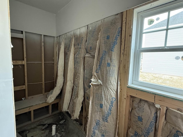 bathroom featuring plenty of natural light