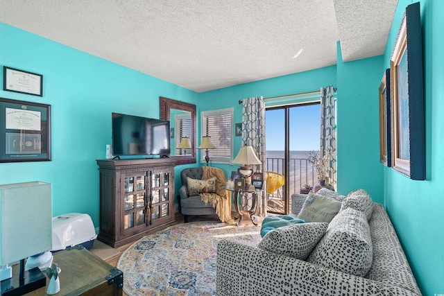 living room with a textured ceiling