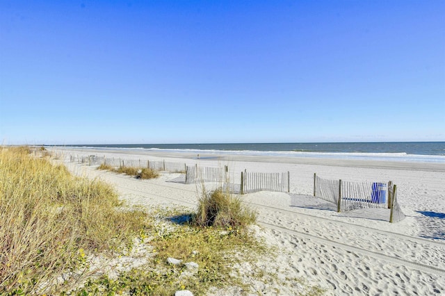 water view featuring a beach view