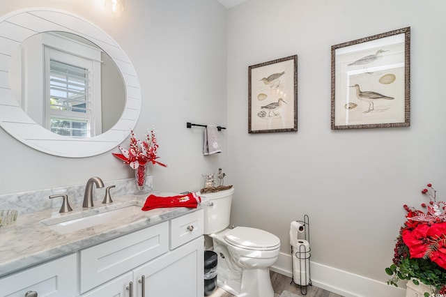 bathroom with vanity, toilet, and wood-type flooring