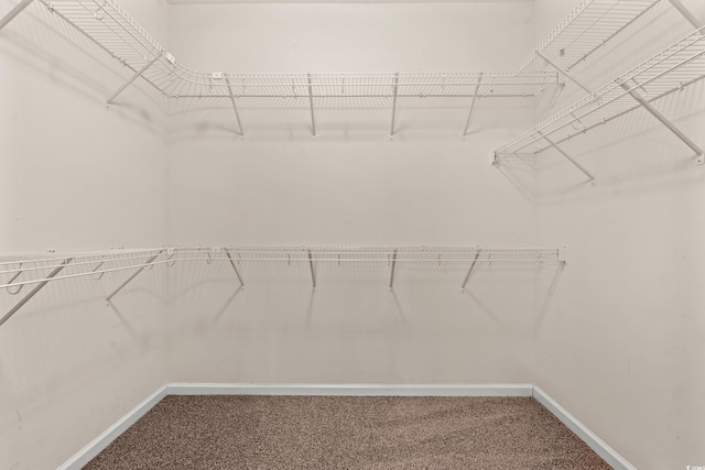 walk in closet featuring carpet floors