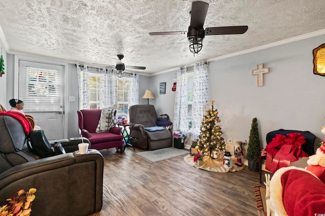 living room featuring wood-type flooring, a textured ceiling, and ornamental molding