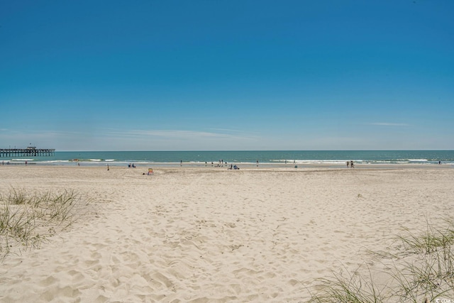 water view with a view of the beach