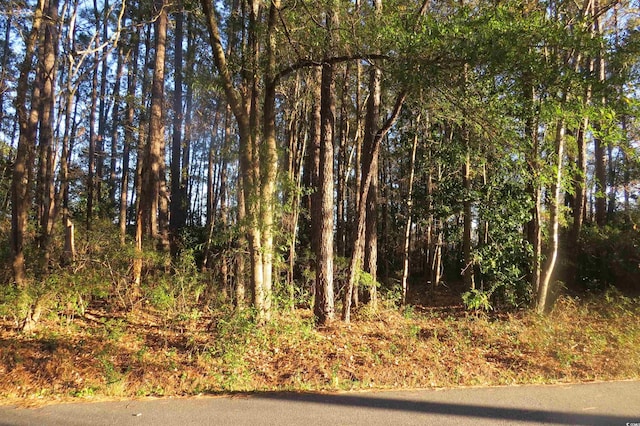 Listing photo 3 for TBD Bethel Rd, Conway SC 29526