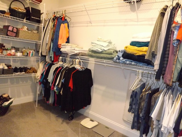 view of spacious closet