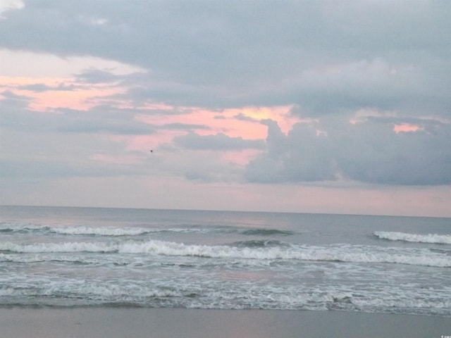 property view of water featuring a view of the beach