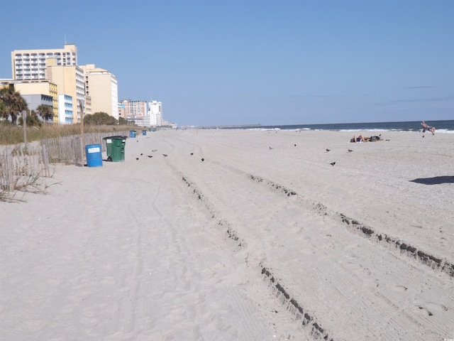 view of water feature featuring a view of the beach