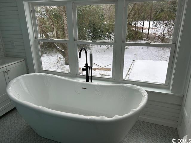 details with a jacuzzi, sink, and a washtub