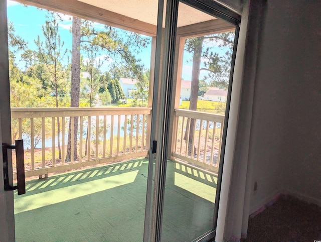 100G Myrtle Greens Dr Unit G, Conway, SC 29526 - entryway featuring plenty of natural light and carpet