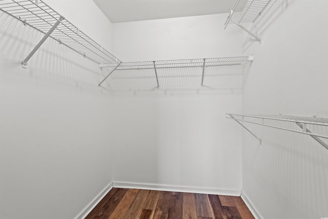 spacious closet with hardwood / wood-style flooring