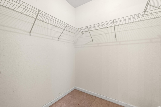 spacious closet with carpet