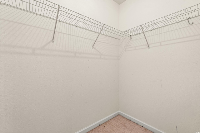352 Mckendree Ln, Myrtle Beach, SC 29579 - walk in closet with light colored carpet