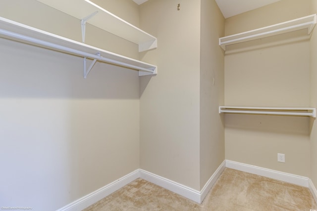 spacious closet with carpet floors