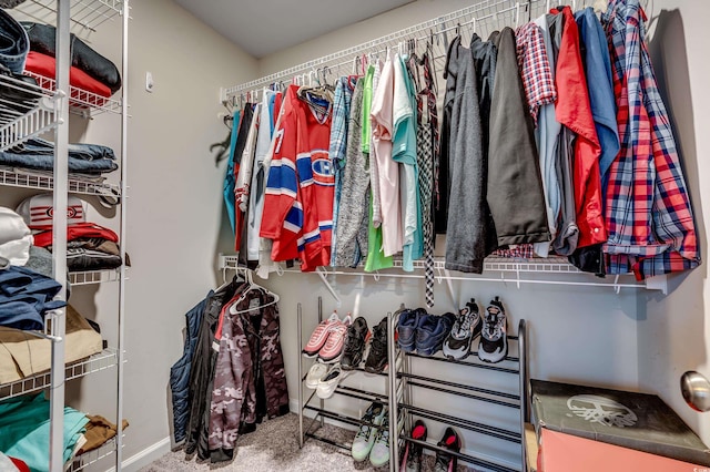 walk in closet featuring carpet floors