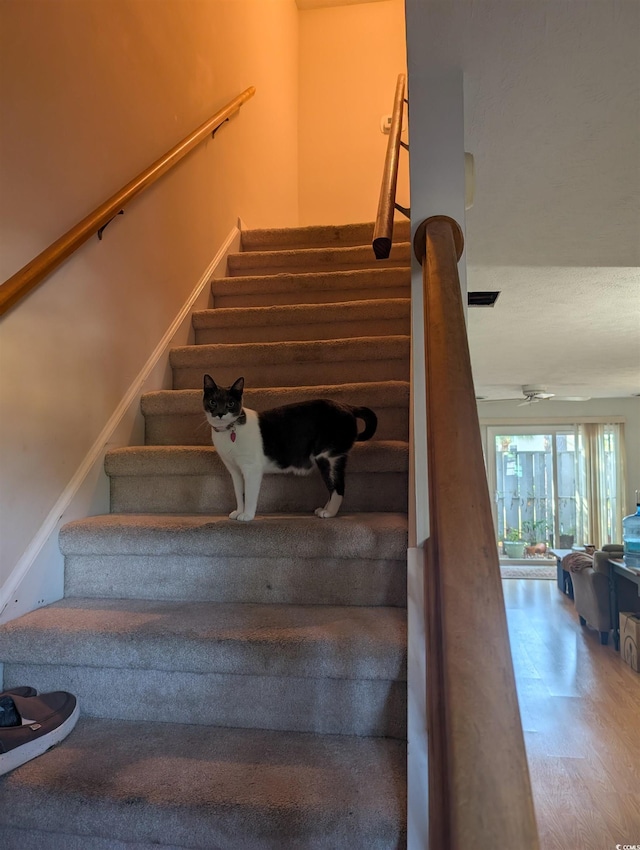 stairs featuring hardwood / wood-style flooring