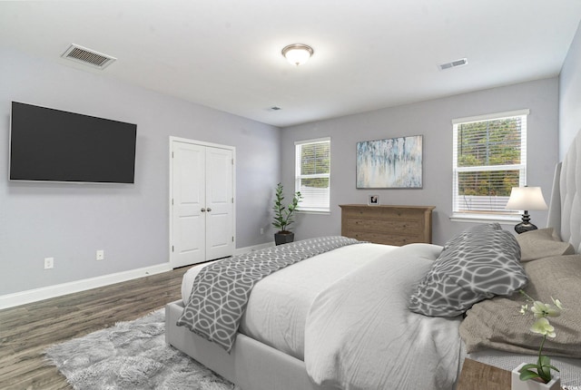 bedroom featuring multiple windows, hardwood / wood-style floors, and a closet