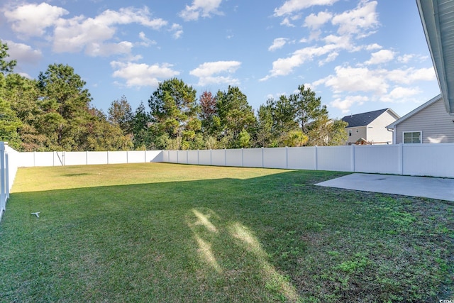 view of yard featuring a patio area