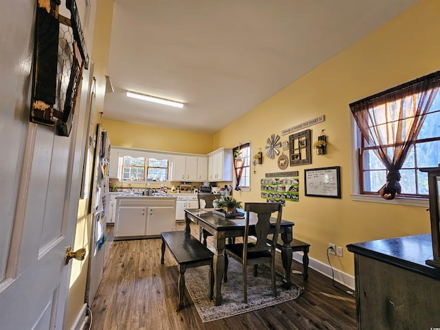 dining area with dark wood-type flooring and a wealth of natural light