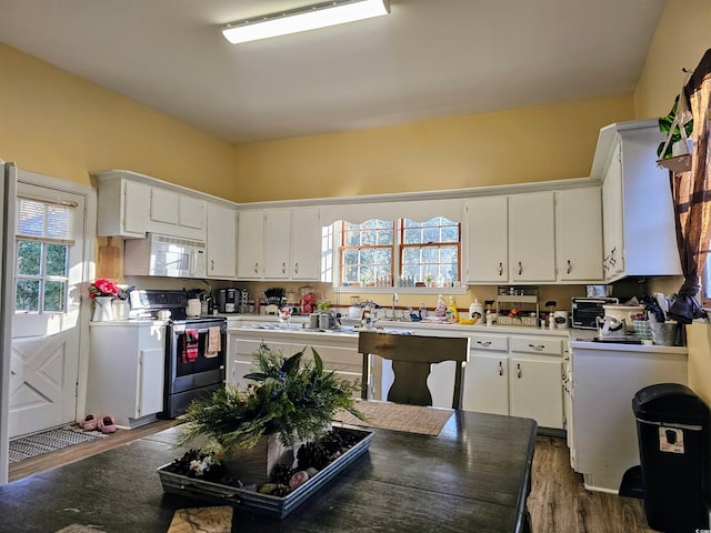 kitchen featuring white cabinetry, stainless steel electric range oven, and dark wood-type flooring