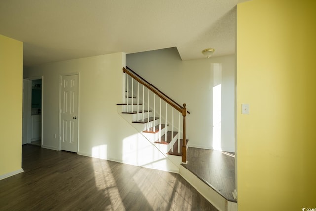 staircase featuring hardwood / wood-style flooring