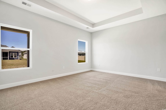 spare room featuring a tray ceiling, carpet flooring, and a healthy amount of sunlight