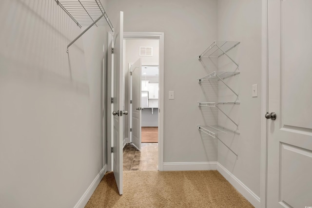 spacious closet featuring carpet