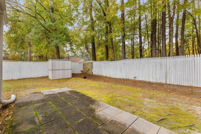 view of yard featuring a patio and a shed