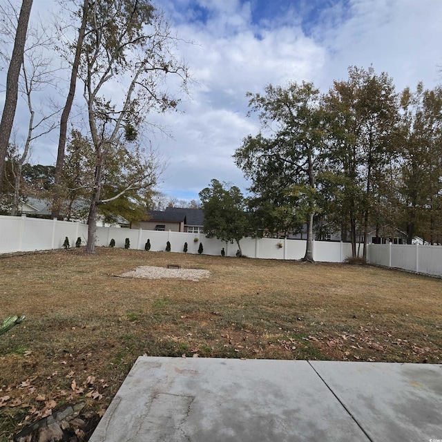 view of yard featuring a patio