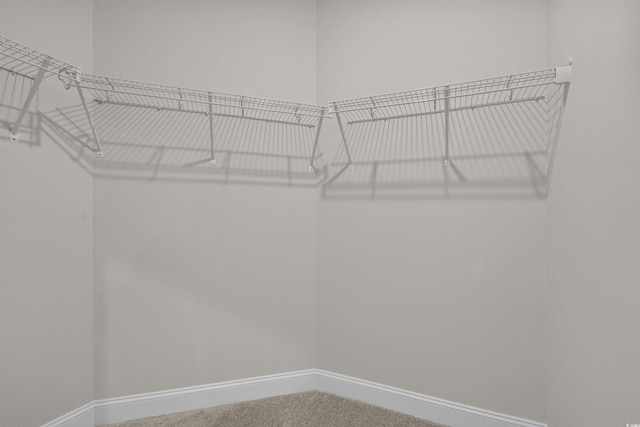 1200 NW Calabash Station Blvd, Calabash, NC 28467 - walk in closet with carpet flooring