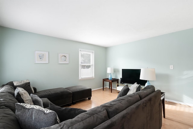 living room featuring light wood-type flooring