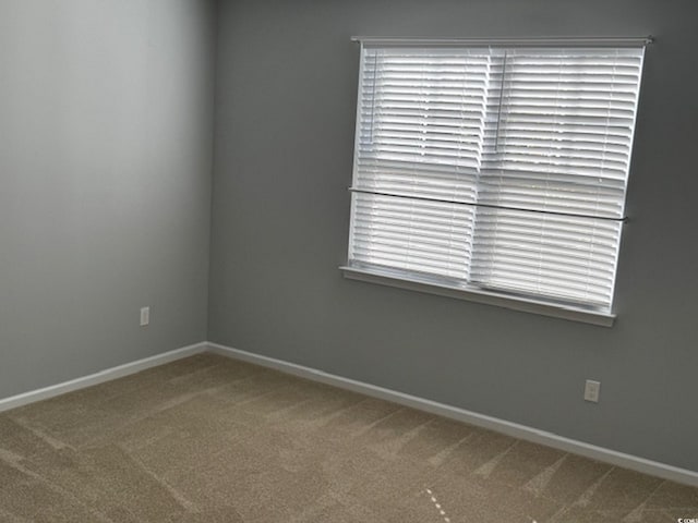 empty room featuring carpet