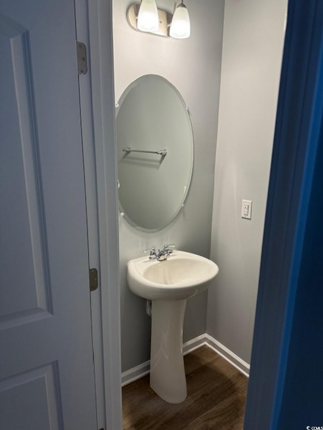 bathroom featuring wood-type flooring