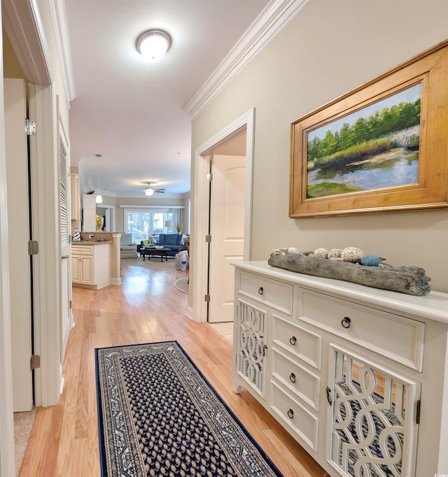 hall featuring crown molding and light hardwood / wood-style flooring