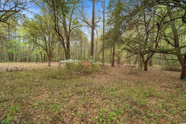 2905 Holladay Rd, Manning SC, 29102 land for sale